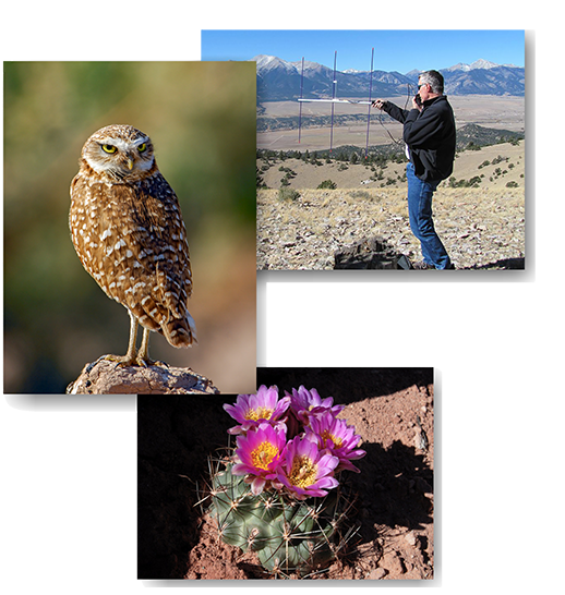 WRC Ecological Services